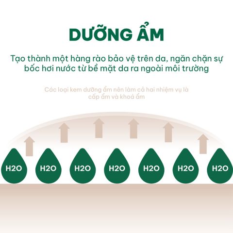 Kem dưỡng ẩm tốt nhất