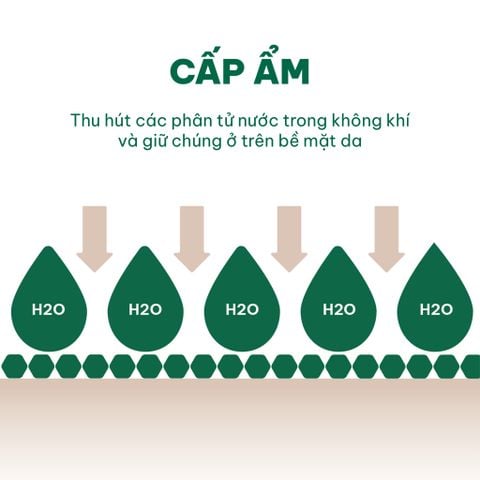 Kem dưỡng ẩm tốt nhất