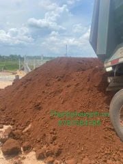 Địa Chỉ Bán Đất Sạch Trồng Cây Tại TP.HCM - Đơn Vị Cung Cấp Uy Tín 'Thành Phố Xanh'