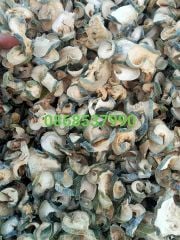 CUNG CẤP SỈ LẺ  BÍ ĐAO KHÔ - GIÁ TẠI XƯỞNG, KHÔNG QUA TRUNG GIAN