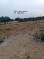 Dịch Vụ Cắt Cỏ Phát Hoang Chuyên Nghiệp Tại TP. Hồ Chí Minh – Thành Phố Xanh Uy Tín Số 1