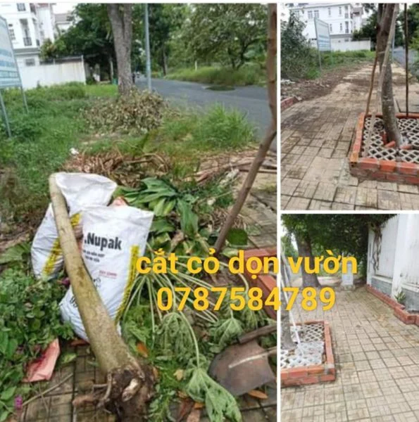 Dịch Vụ Cắt Cỏ, Phát Hoang Quận 1 TP.HCM – Thành Phố Xanh