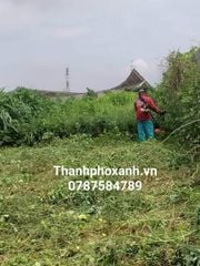 Dịch Vụ Cắt Cỏ Phát Hoang TP.HCM – Nhanh Chóng, Gọn Gàng, Giá Tốt! _ THÀNH PHỐ XANH