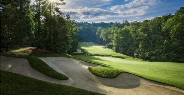 Champion Hills công bố việc cải tạo sân golf sau thiệt hại do bão