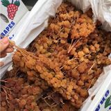 Cách làm nho khô từ nho tươi như thế nào ?