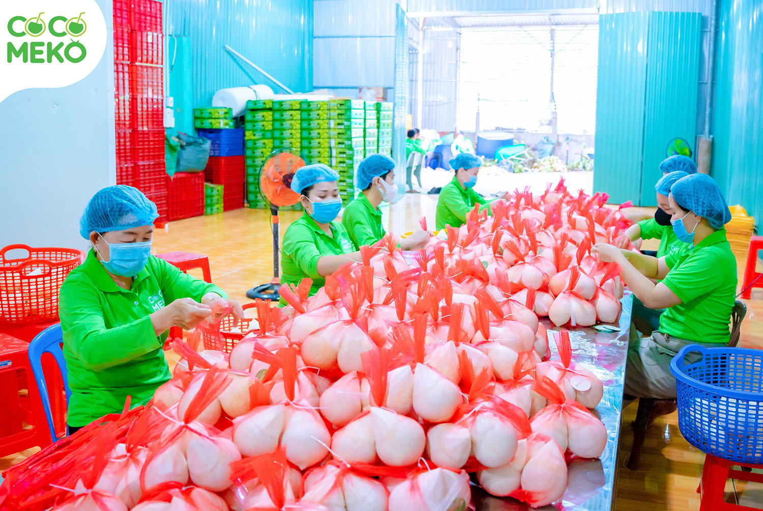 Chopping Cut Young Coconut