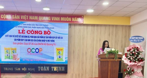 GẠO ÔNG CUA ST25 - TỰ HÀO ĐẠT OCOP 5 SAO CẤP QUỐC GIA! 🇻🇳🌾