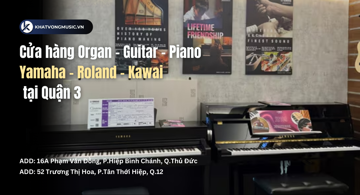 Cửa hàng Organ Piano Điện Yamaha - Roland - Kawai tại Quận 3