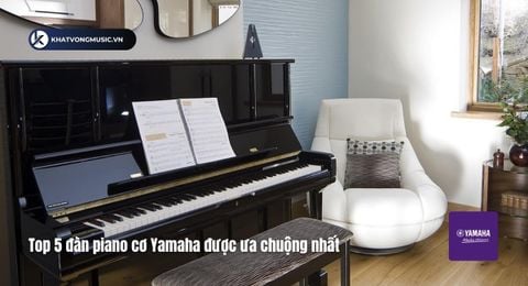 Top 5 đàn piano cơ Yamaha được ưa chuộng nhất