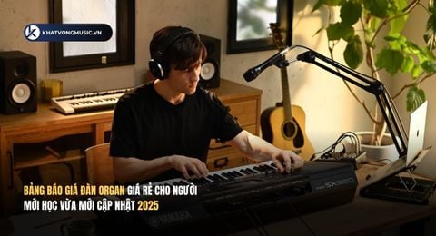 Bảng báo giá đàn Organ giá rẻ cho người mới học vừa mới cập nhật 2025