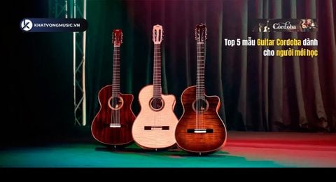 Top 5 mẫu Guitar Cordoba dành cho người mới học – Chất lượng, dễ chơi, giá tốt