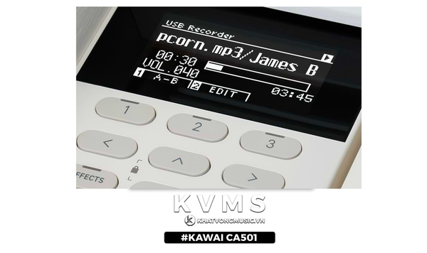 ghi âm và phát lại Kawai CA501 | sản phẩm mới 2023 - Khát Vọng Music Center
