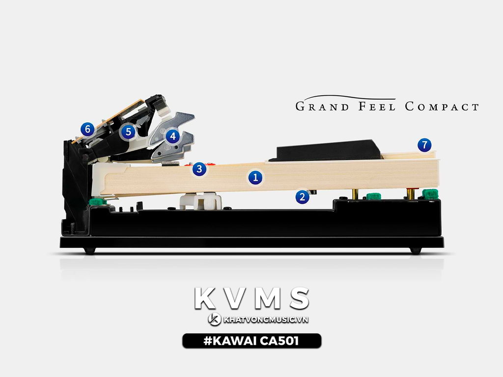 Hệ phím Grand Feel Compact trên piano Kawai CA501 | sản phẩm mới 2023 - Khát Vọng Music Center