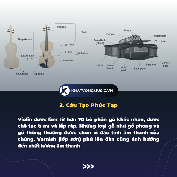 10 điều thú vị về violin