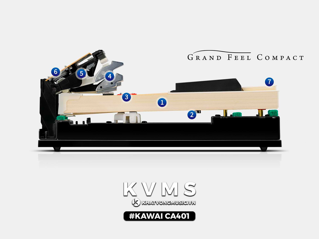 Hệ phím Grand Feel Compact trên KAWAI CA401 | Khát Vọng Music Center