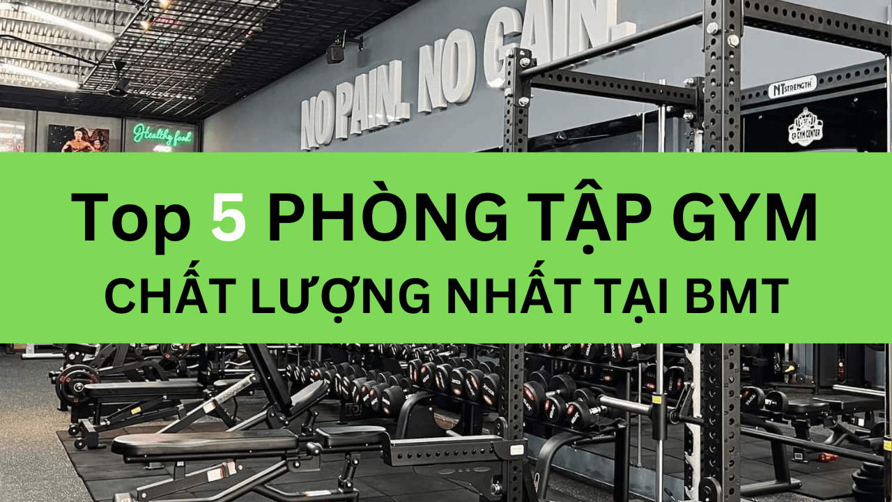 Top 5 Phòng Tập Gym Tốt Nhất BMT Được Hơn 1000+ Gymers Bình Chọn