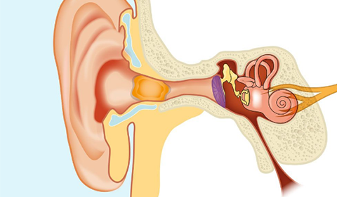 RÁY TAI LÀ GÌ ? NHỮNG DẤU HIỆU BẤT THƯỜNG CỦA RÁY TAI
