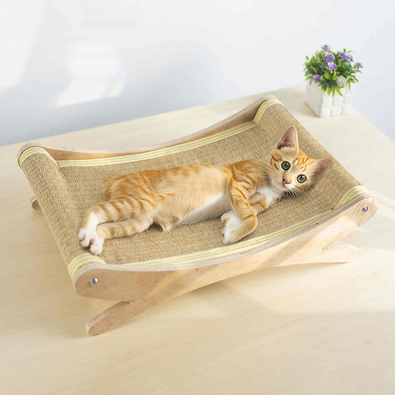 Thảm võng mèo