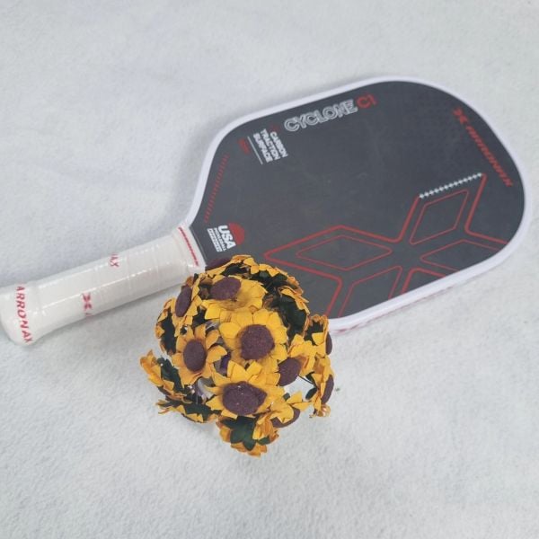 Vợt Pickleball