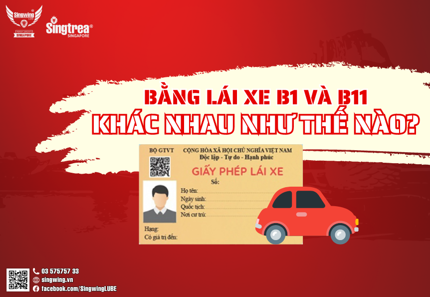 BẰNG LÁI XE B1 VÀ B11 KHÁC NHAU NHƯ THẾ NÀO?