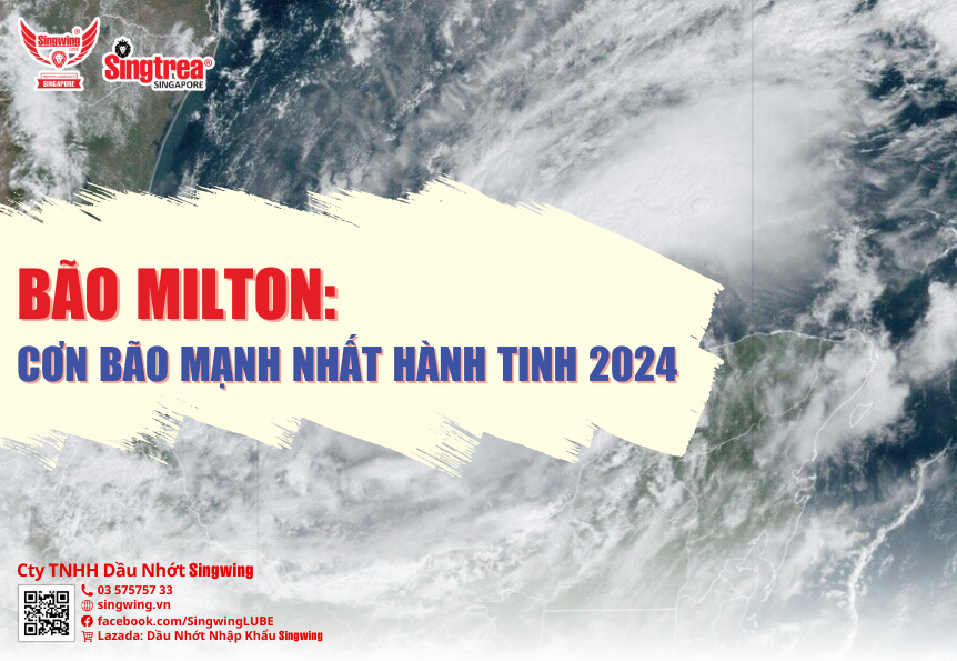 BÃO MILTON: CƠN BÃO MẠNH NHẤT HÀNH TINH 2024