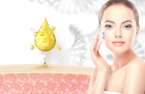 Sửa chữa và tái cấu trúc da