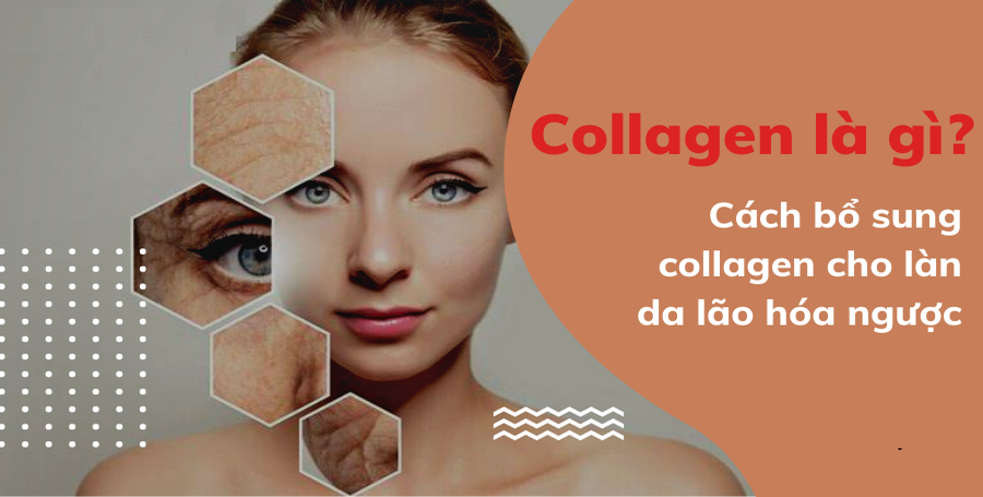 Collagen là gì? Cách bổ sung collagen cho làn da lão hóa ngược ...