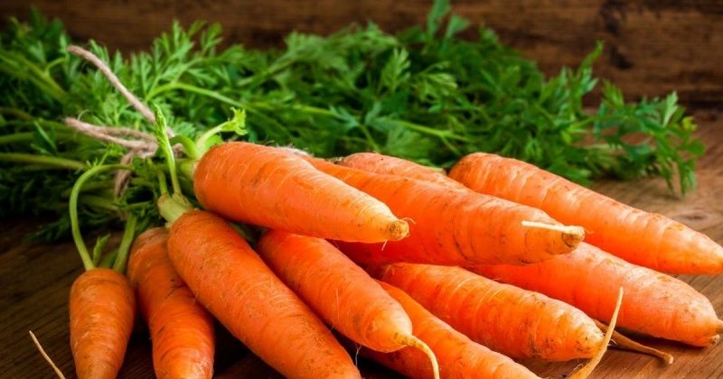 Cách chọn và bảo quản cà rốt tươi ngon trong 2 tháng