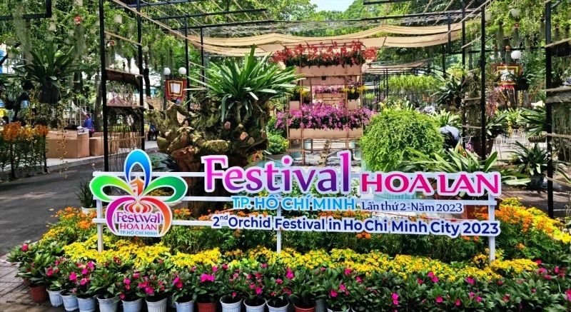 'Đậm đà hương sắc' tại Festival hoa lan Thành phố Hồ Chí Minh