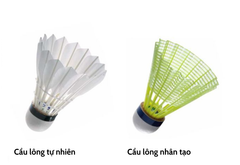 CÁCH CHỌN QUẢ CẦU LÔNG CHO NGƯỜI MỚI BẮT ĐẦU
