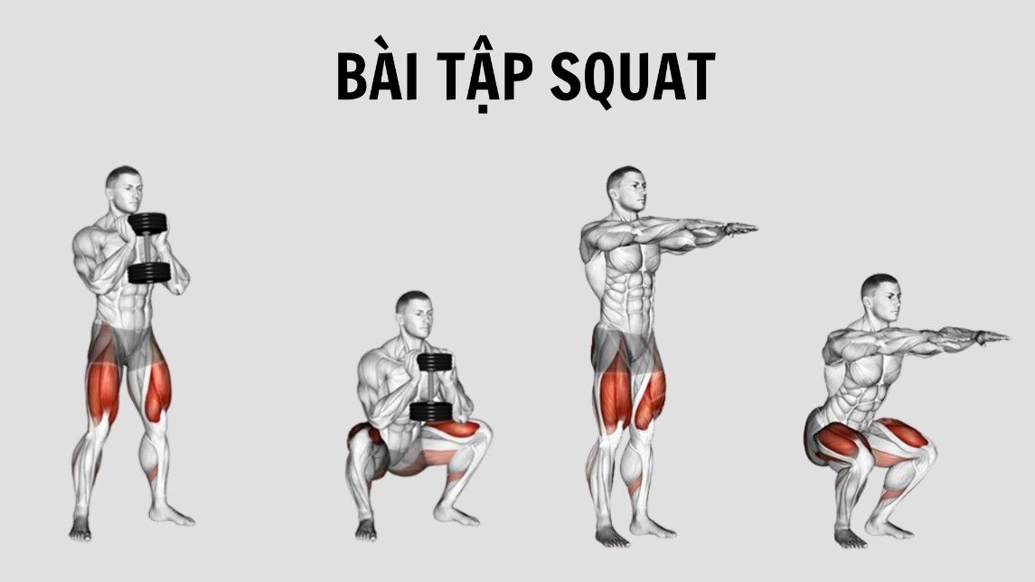 bài tập Squat