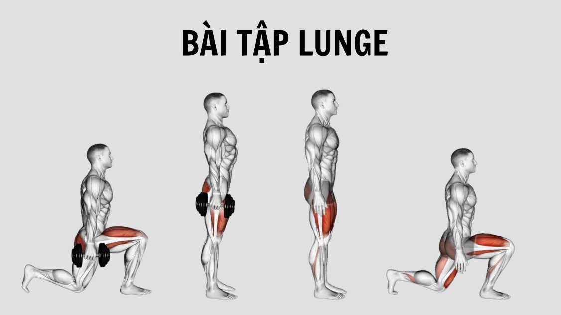 bài tập Lunge
