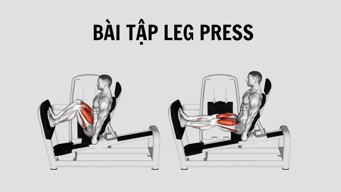 bài tập Leg Press