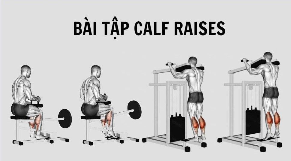 bài tập Calf Raises