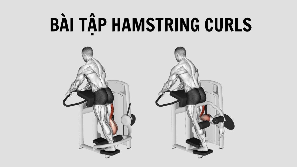 bài tập Hamstring Curls