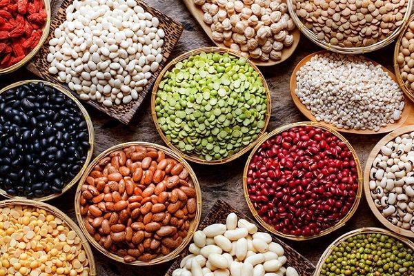 Hạt và đậu giàu protein