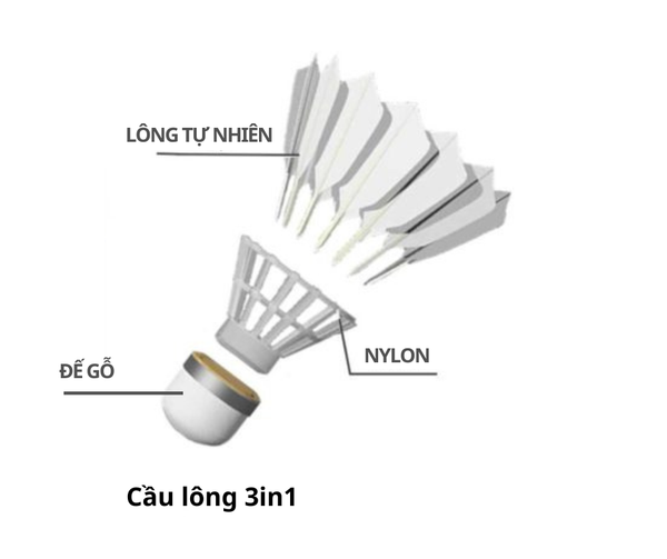 cầu lông 3in1