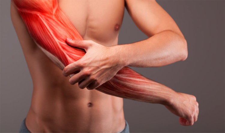 Tổn thương dây chằng ở khuỷu tay