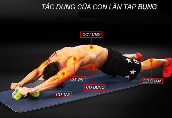 con lăn tập bụng