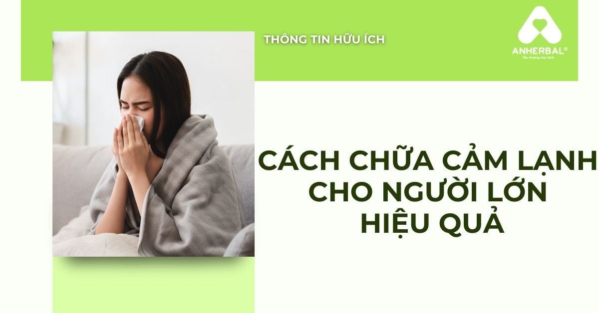 Cách Chữa Cảm Lạnh Cho Người Lớn Hiệu Quả Mẹo Xông Giải Cảm