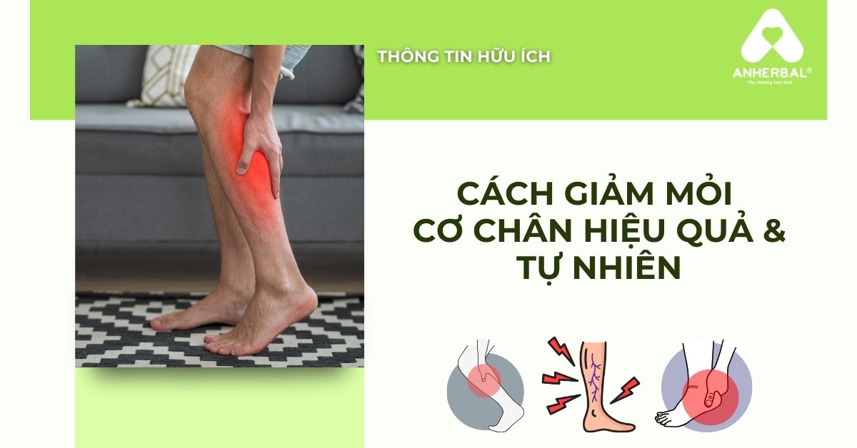 Cách Làm Giảm Mỏi Cơ Chân Hiệu Quả - Ngâm Chân & Thảo Dược Tự Nhiên