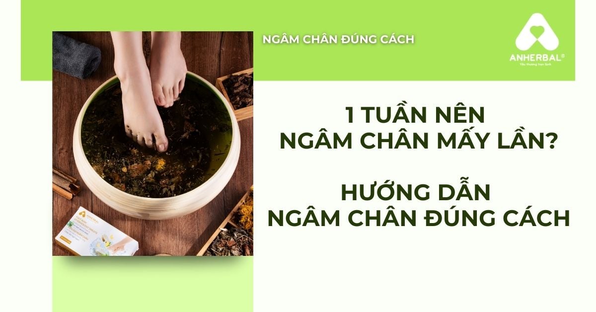 1 Tuần Nên Ngâm Chân Mấy Lần? Hướng Dẫn Ngâm Chân Đúng Cách