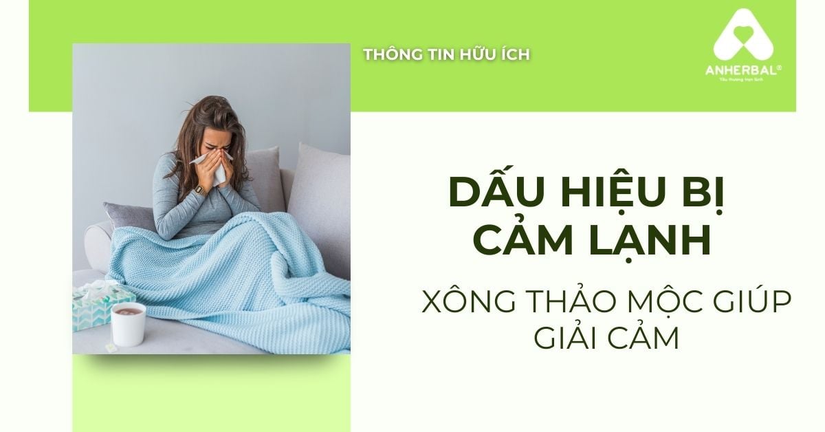 Dấu Hiệu Bị Cảm Lạnh & Cách Xông Thảo Mộc Giúp Giảm Cảm Nhanh