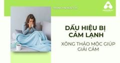 Dấu Hiệu Bị Cảm Lạnh & Cách Xông Thảo Mộc Giúp Giảm Cảm Nhanh