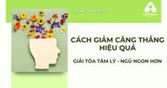 Cách Giảm Căng Thẳng Hiệu Quả – Giải Tỏa Tâm Lý, Ngủ Ngon Hơn