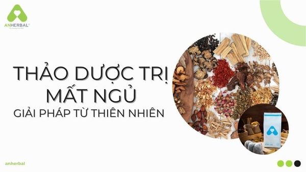 thảo dược trị mất ngủ