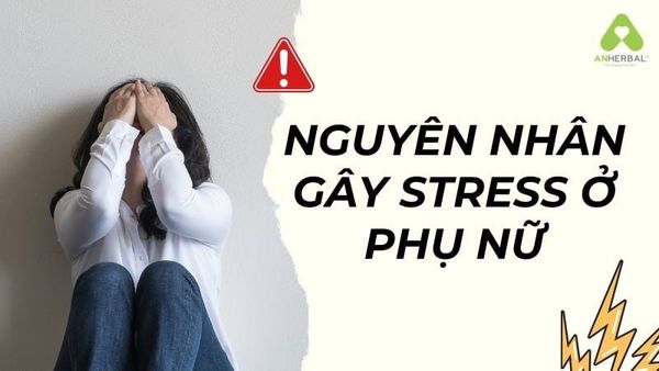 nguyên nhân gây stress ở phụ nữ