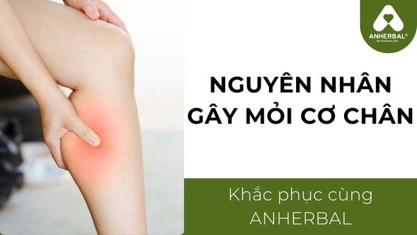 nguyên nhân gây mỏi cơ chân