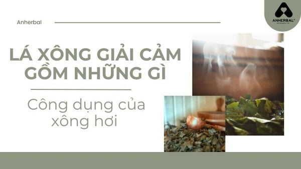 lá xông giải cảm gồm những gì
