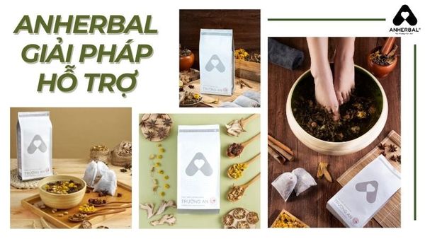 ANHERBAL giải pháp hỗ trợ bệnh GOUT